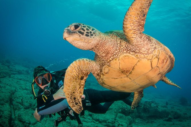 Kauai's Ultimate Discover Scuba Dive - OCEAN EXPERIENCE (1 Tank Dive) - PADI Discover Scuba: the skills session that turns nerves into calm