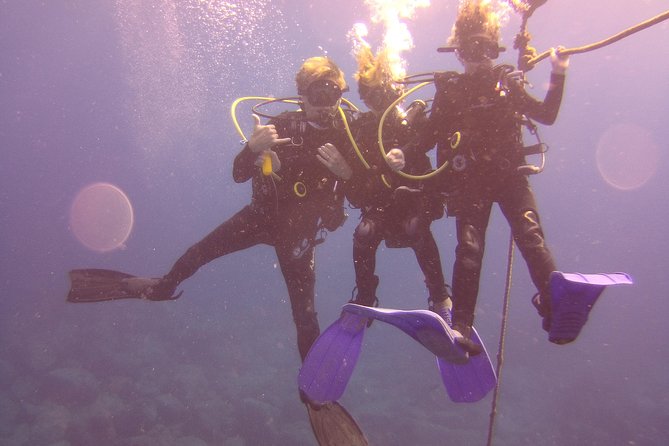 Kauai's Ultimate Discover Scuba Dive - OCEAN EXPERIENCE (1 Tank Dive) - Weather and conditions: why Kauai can be both perfect and unpredictable