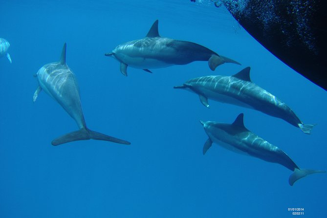 Kauai's Ultimate Dive Boat Adventure (for CERTIFIED Divers Only) - Stop 1: Spouting Horn Before You Hit the Water