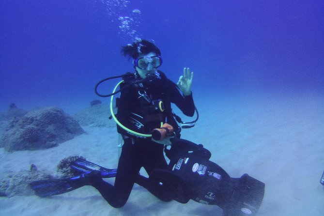 Kauai's Ultimate Scooter Adventure 2 Tank Dive (Advance Certified Divers Only) - Marine ecology briefings: learning species and habitat while you move