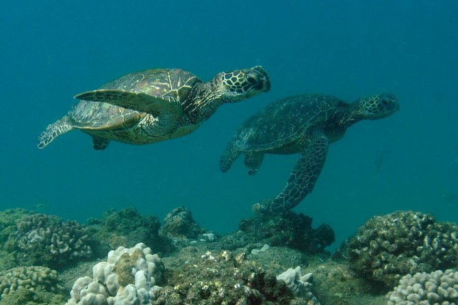 Kauai's Ultimate South Shore 2 Tank Dive (Certified Divers Only) - Getting Underway From Koloa Landing, Poipu