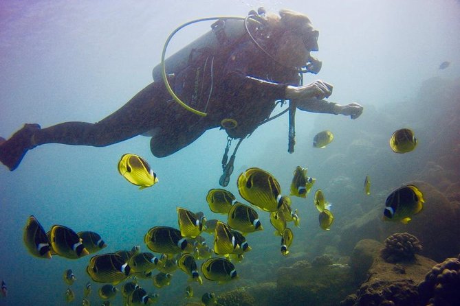 Kauai's Ultimate South Shore 2 Tank Dive (Certified Divers Only) - Price and Value: What $210.92 Buys You