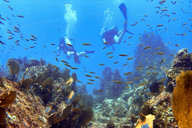 Kauai Scuba Diving for Beginners - Why Koloa Landing Works So Well for Beginner SCUBA Sessions