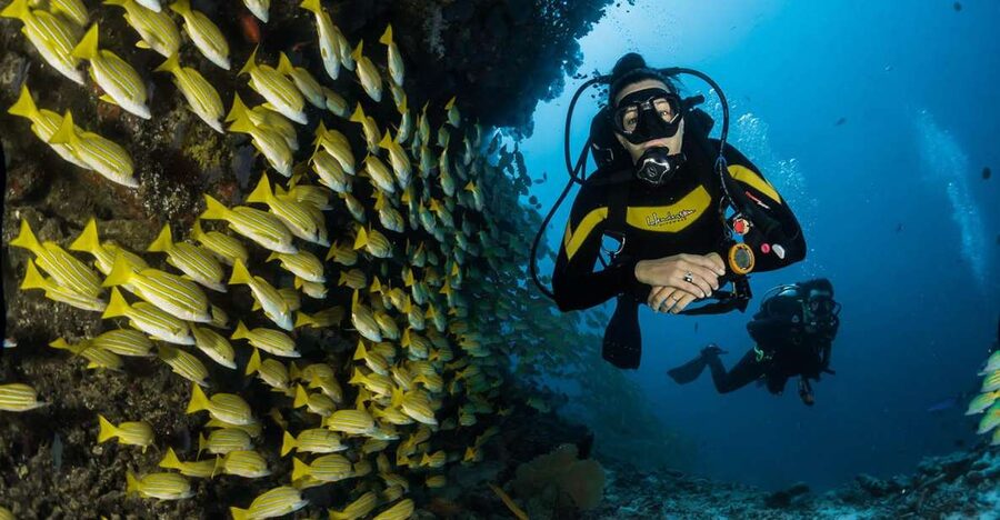 Kefalonia: Beginner Scuba Diving at Agia Efimia Village - The Skills Portion: What You’ll Learn Before You Go Off-Plan