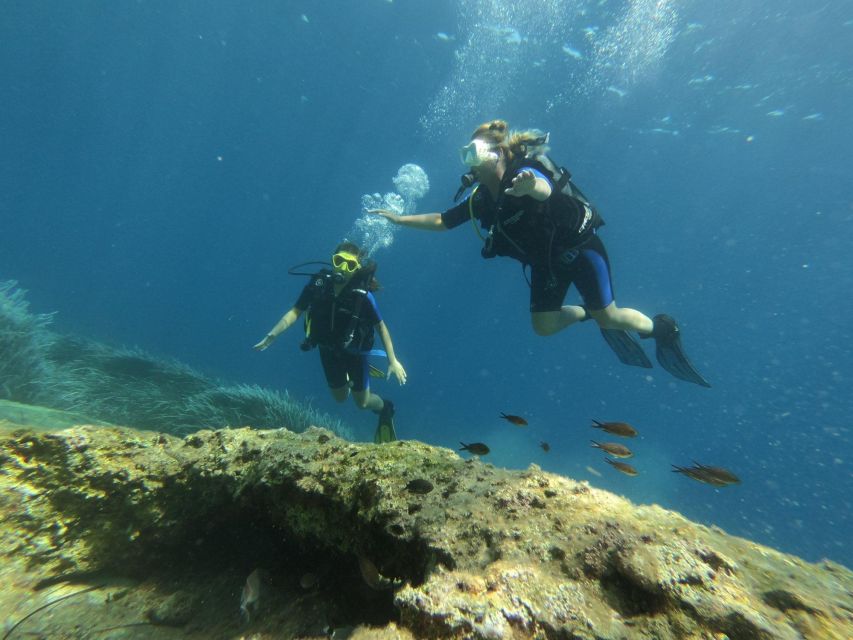 Kefalonia: Beginner Scuba Diving at Agia Efimia Village - The Underwater Time: What You’ll See and Why Beginners Enjoy It