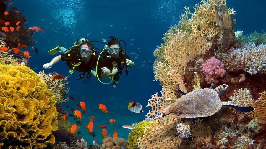 Kefalonia: Beginner Scuba Diving at Agia Efimia Village - Safety and Comfort: The Rules That Keep This Fun