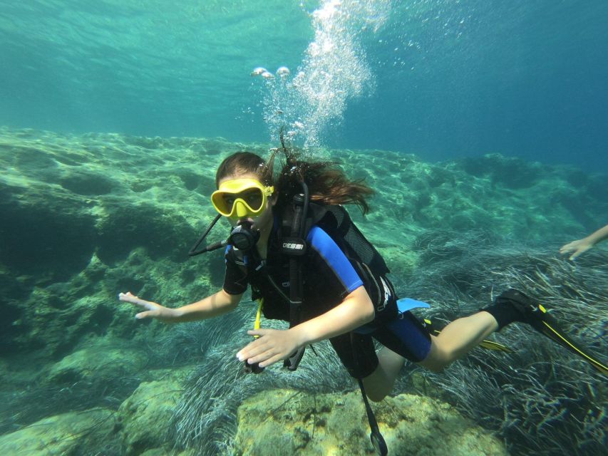 Kefalonia: Beginner Scuba Diving at Agia Efimia Village - Price and Value: Why $141 Can Make Sense for Beginners