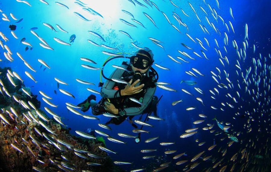 Kefalonia: Beginner Scuba Diving at Agia Efimia Village - Who This Course Suits Best (And Who It Doesn’t)