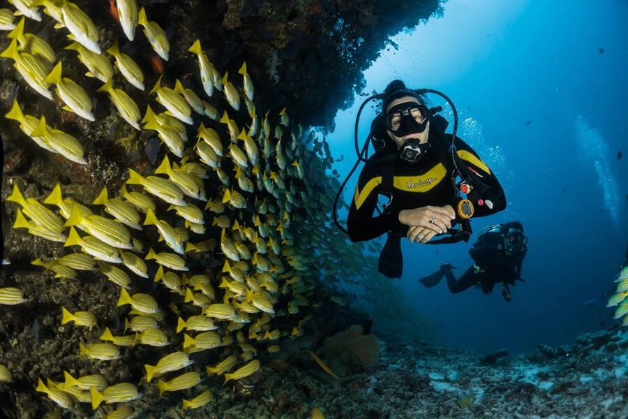 Kefalonia: Beginner Scuba Diving at Agia Efimia Village - What the “Discover Scuba” Training Actually Feels Like