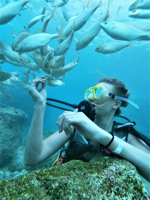 Kemer: Scuba Diving Experience in Aquarium and Kiris Bays - Kemer’s Aquarium and Kiris Bays: why these waters are the point