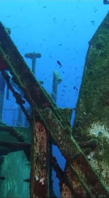 Kemer: Scuba Diving Experience in Aquarium and Kiris Bays - Instructor-led safety: why this matters more than people expect