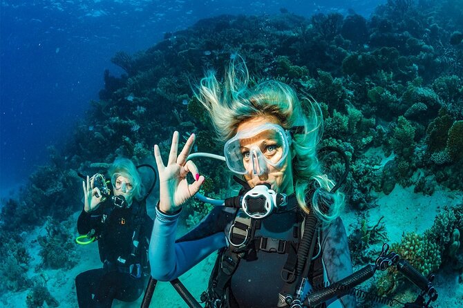 Kemer Scuba Diving Experience: Two Dives with Lunch - Getting There Without Headaches: Hotel Pickup and Marina Kemer Meeting