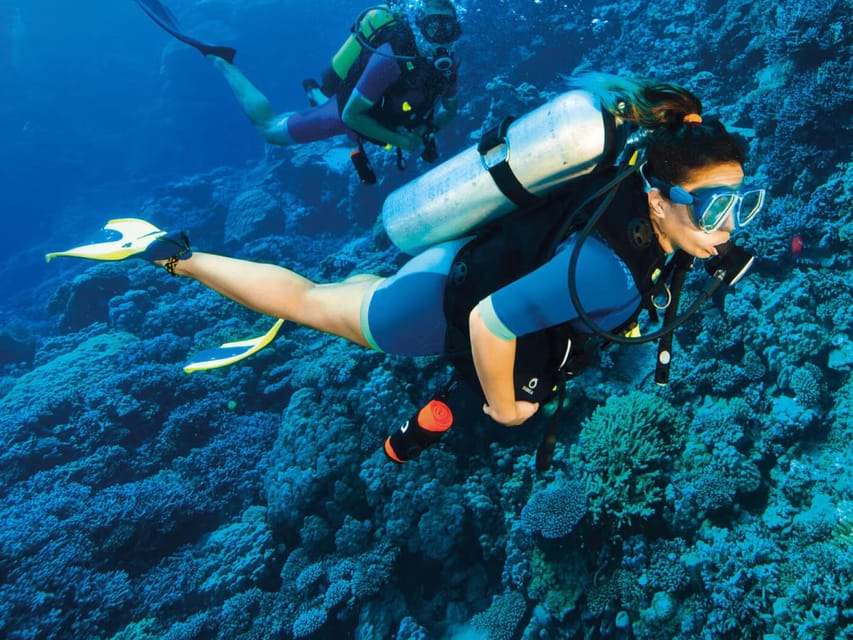 Kemer Scuba Diving with Expert Diving Option - Price and Value: Why $35 Works (and When It Might Not)
