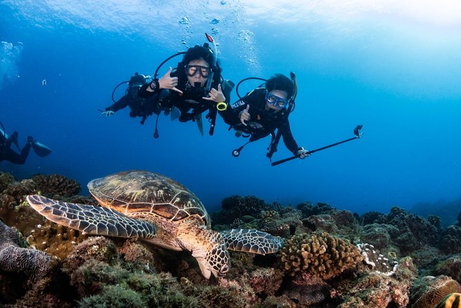 Kenting, Taiwan｜PADI Basic Diving License Course｜Taiwan Diving Open Water Course - Day 2 Ocean Sessions: Ocean Skills Discussion and Controlled Practice