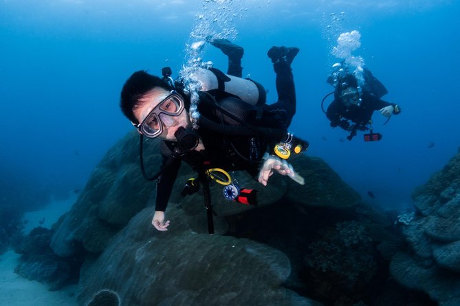 Kenting, Taiwan｜PADI Basic Diving License Course｜Taiwan Diving Open Water Course - Day 3 Ocean Practice: More Marine Sessions and Your Completion Moment