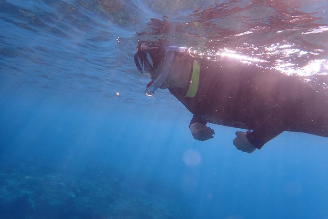 Kenting, Taiwan｜Snorkeling Free underwater photography One-on-one with instructor｜Taiwan Diving Snorkeling - The Optional Scuba Choice: Why This Works for Mixed Skill Levels