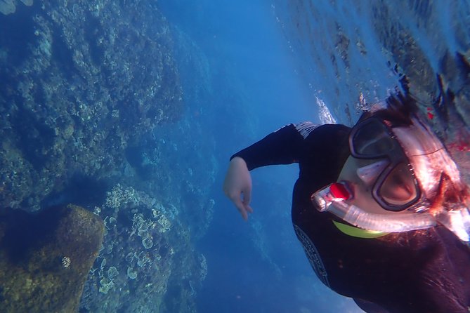 Kenting, Taiwan｜Snorkeling Free underwater photography One-on-one with instructor｜Taiwan Diving Snorkeling - Value Check: Is Around $28 a Good Deal?