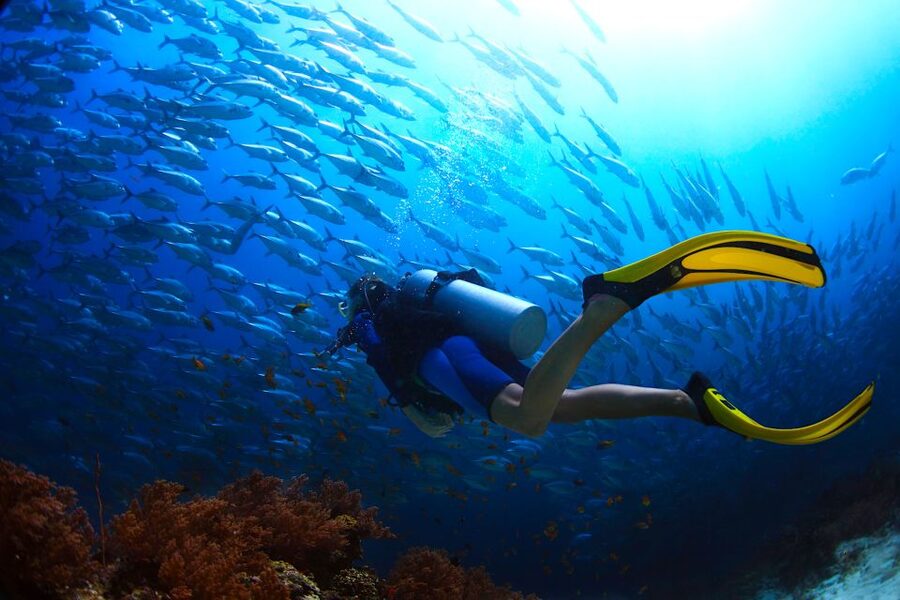 Ko Tao: Try Scuba Diving 1-Day Experience - The Shallow-Water Session That Makes First-Timers Feel Safe