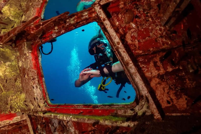 Ko Tao: Try Scuba Diving 1-Day Experience - What You’ll See Underwater Around Ko Tao