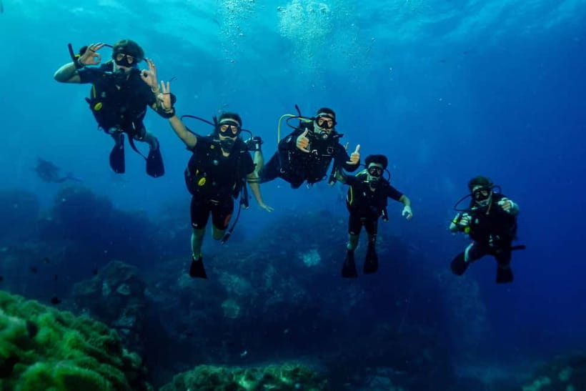 Ko Tao: Try Scuba Diving 1-Day Experience - Timing and Getting Back: Ending Around 4:30pm