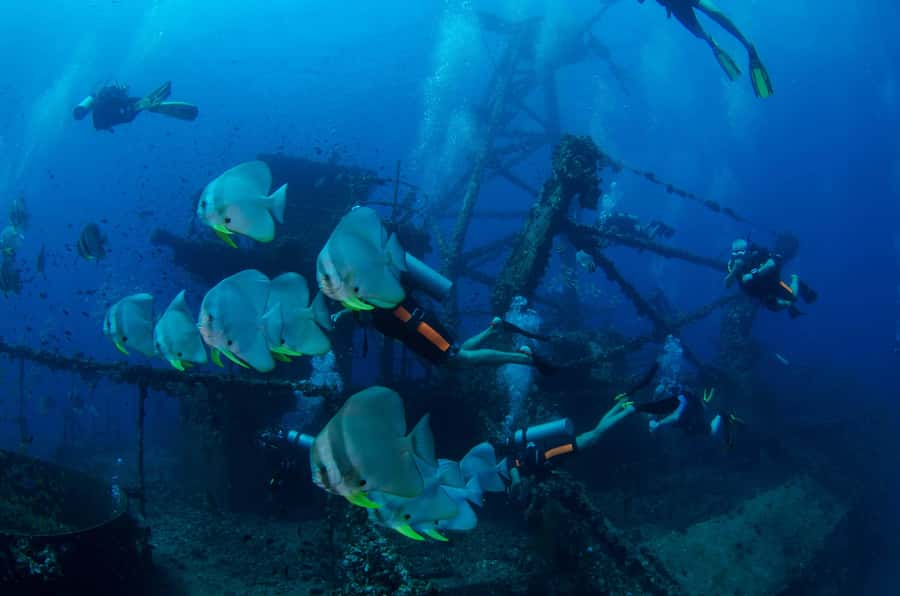 Koh Chang: 1-Day Dive Trip to Top Underwater Sites - Koh Chang’s undersea day: HTMS Chang wreck and Koh Rang Marine Park