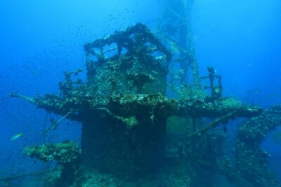 Koh Chang: 1-Day Dive Trip to Top Underwater Sites - The boat trip and transfers that keep the day from feeling complicated