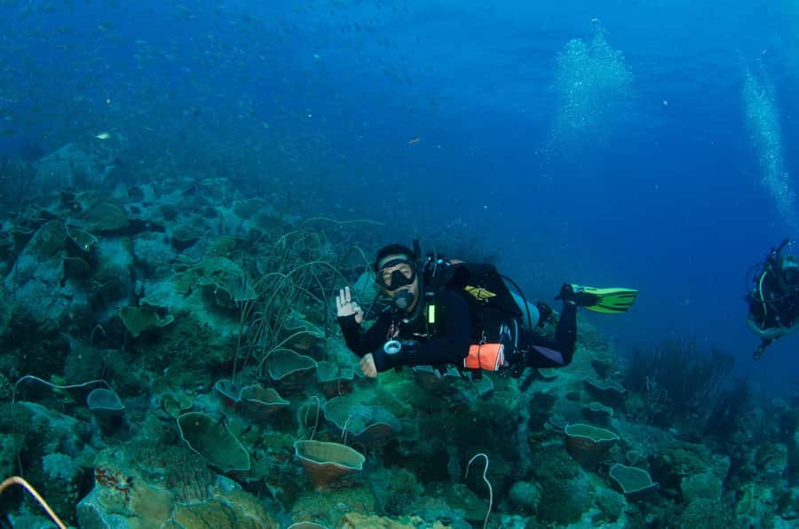 Koh Chang: 3-Day PADI Open Water Scuba Dive Course - Key highlights to know before you book