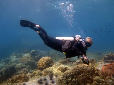 Koh Chang: 3-Day PADI Open Water Scuba Dive Course - How the 3 days work: home study, pool skills, then open-water sessions