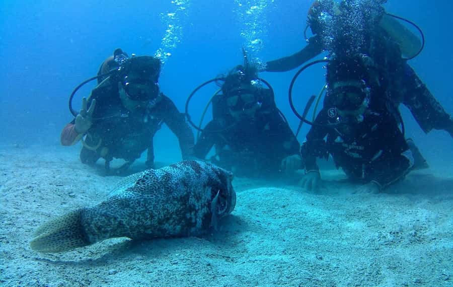 Koh Chang: Discover Scuba Diving for Beginners with 2 Dives - The Boat and the Comfort Factor You’ll Thank Yourself For