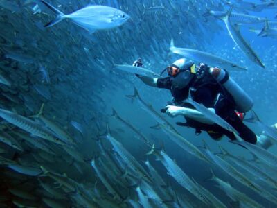 Koh Kood: Discover Scuba Diving for Beginners with 2 Dives - Koh Kood and Koh Rang: why this area works for beginners