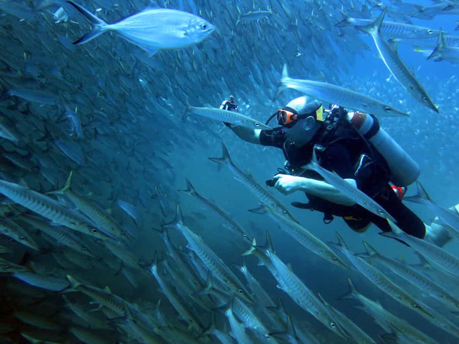 Koh Kood: Discover Scuba Diving for Beginners with 2 Dives - Koh Kood and Koh Rang: why this area works for beginners