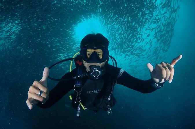 Koh Samui 2-Dive Trip to Sail Rock for certified divers - What’s included above water: lunch, drinks, and real comfort