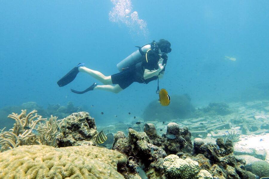 Koh Samui: Day Trip Diving at Sail Rock - Who this is best for on Koh Samui (and who should skip it)