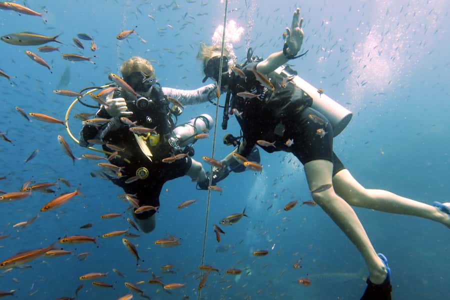 Koh Samui: Discover Scuba Diving - Key things I think you’ll care about