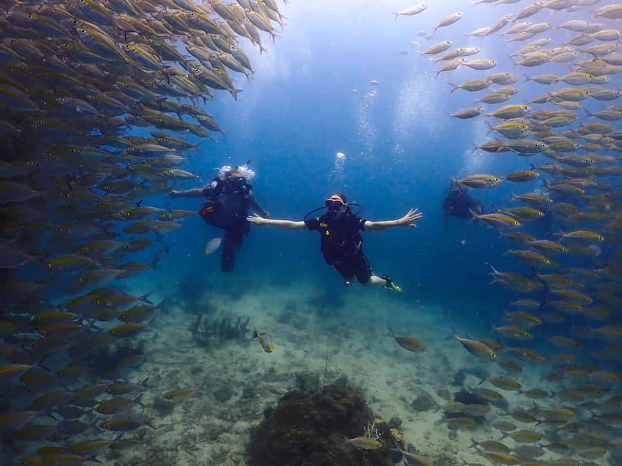 Koh Samui: Discovery Dive to Koh Tao or Sail Rock - Why This Ko Samui to Koh Tao or Sail Rock Day Works for Beginners