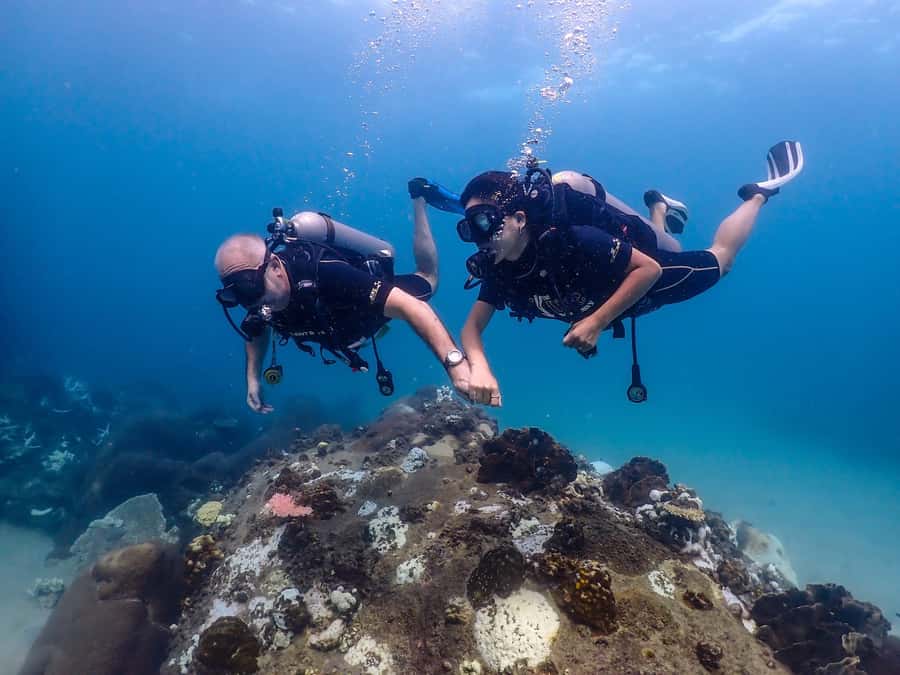 Koh Samui: Discovery Dive to Koh Tao or Sail Rock - What Happens Before You Go Under: The Intro Style