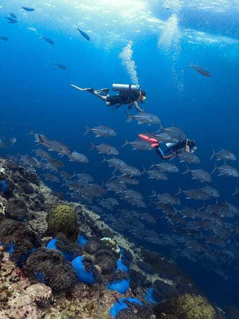 Koh Samui: Discovery Dive to Koh Tao or Sail Rock - Who Should Book This and Who Should Skip It