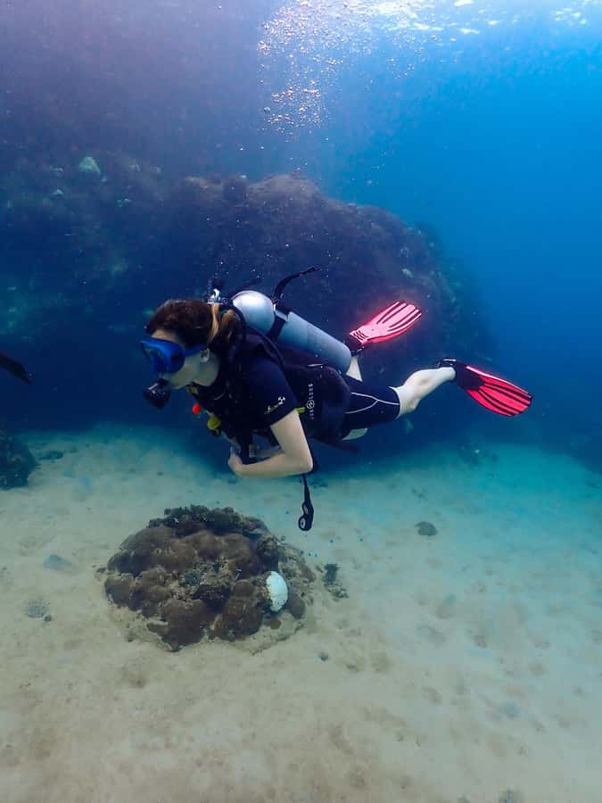 Koh Samui: Dive Tour to Koh Tao - Key highlights you’ll feel right away