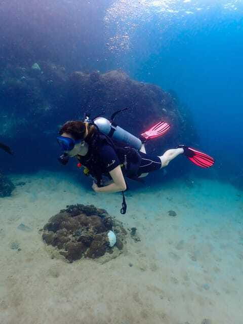 Koh Samui: Dive Tour to Koh Tao - The return to Koh Samui: planning your timing and energy