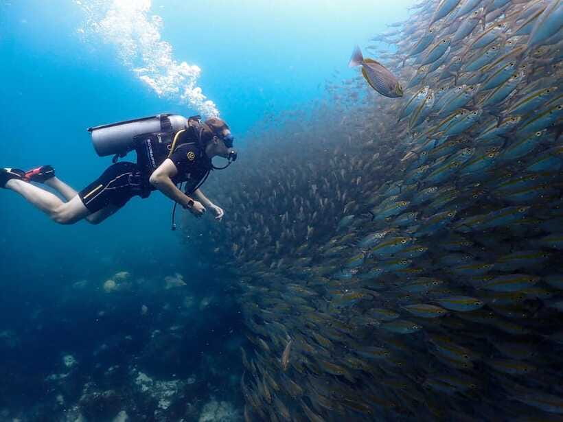 Koh Samui: Dive Tour to Koh Tao - What the $212 price really includes—and what it doesn’t