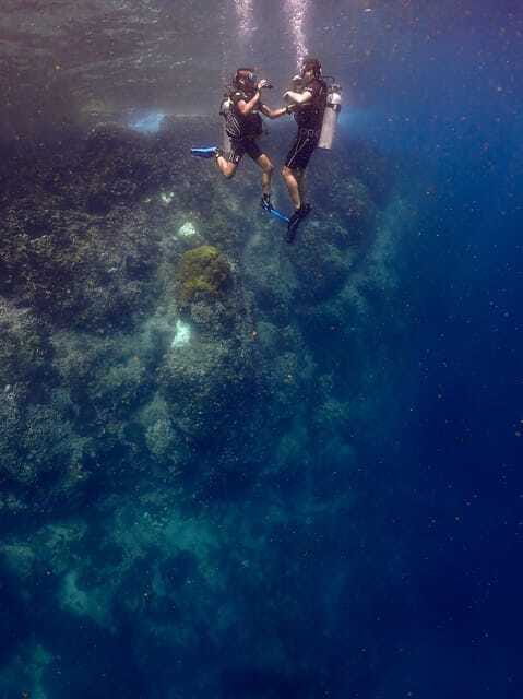 Koh Samui: Dive Tour to Sail Rock - Second underwater session: repeat, refine, and keep the whale shark hope alive