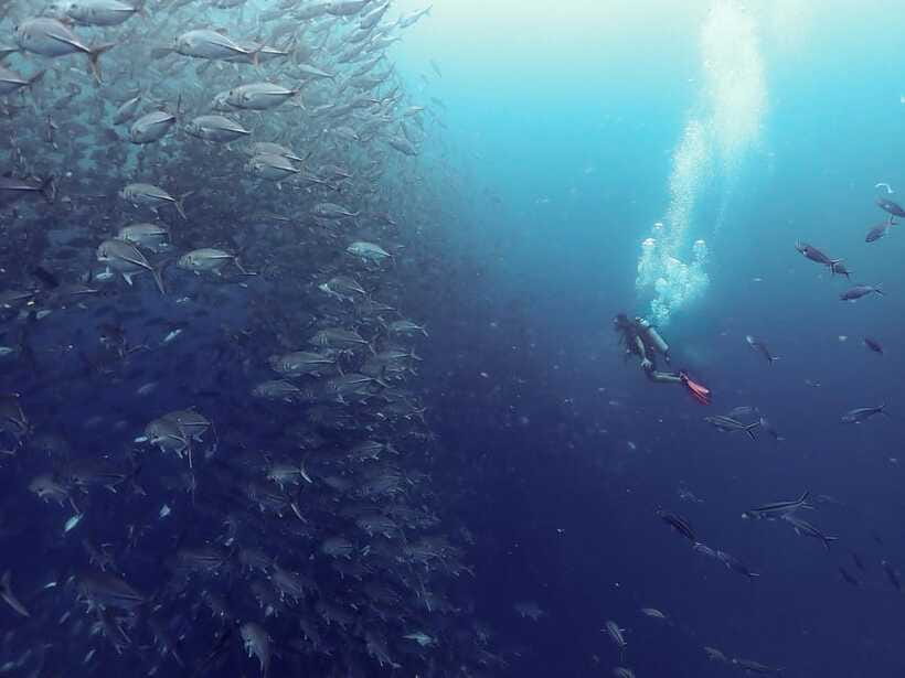 Koh Samui: Dive Tour to Sail Rock - What to bring (and what not to) so the day stays easy