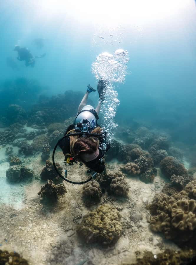 Koh Tao: PADI Premium Open Water Diver Course - Day 3 two more reef sessions (7:40–12:00) and your certification milestone
