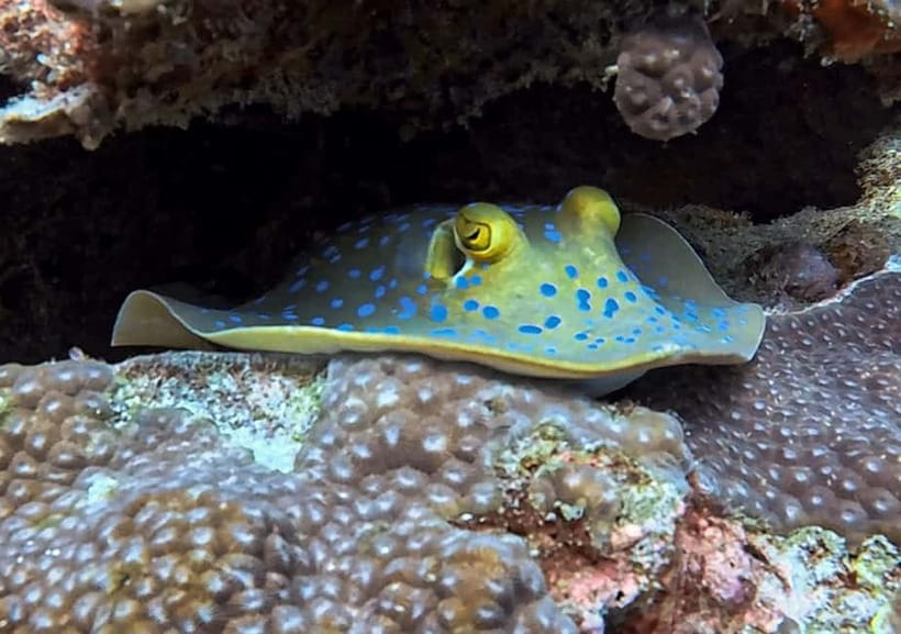 Koh Tao: PADI Try Diving Experience - What to bring (and what to think about before you go)