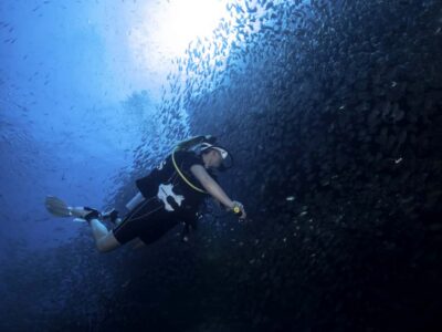 Koh Tao: Private Basic Diver Experience with 2 Dives - Getting to the classroom: pickup, timing, and what to wear