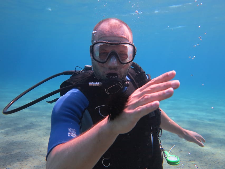 Kos: Beginner Scuba Diving from the Beach with Pickup - Why Kos Beach Entry Works for First-Timers