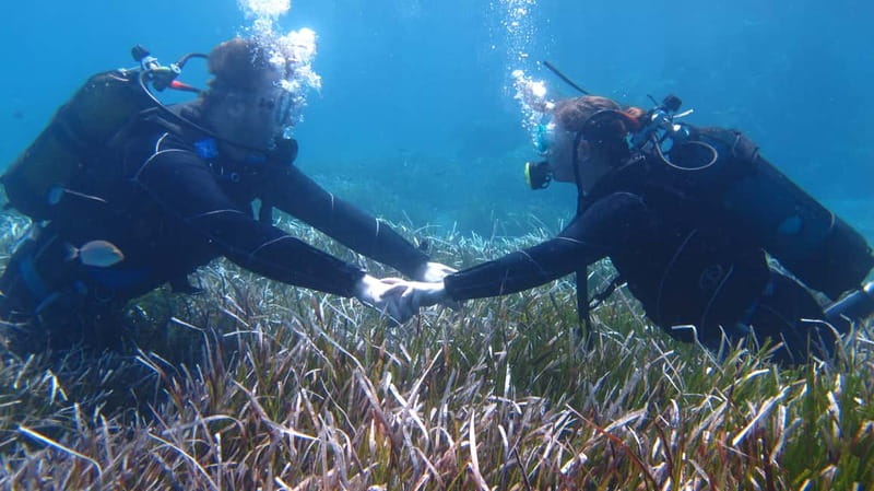 Kos: Try Scuba Diving with a diving boat - Should you book this Kos first-time scuba course?