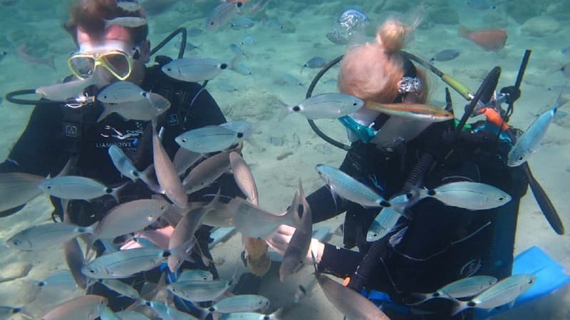 Kos: Try Scuba Diving with a diving boat - Kos to Pserimos: why the sheltered 5-meter setup helps first-timers