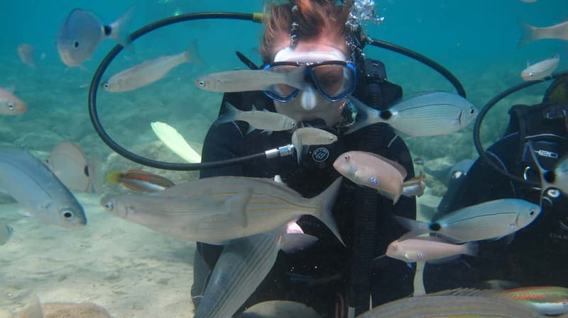 Kos: Try Scuba Diving with a diving boat - Instructors and safety: why this course stays steady when nerves show up
