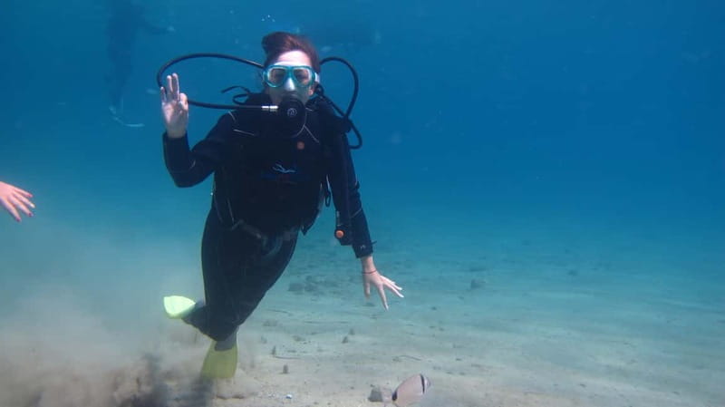 Kos: Try Scuba Diving with a diving boat - Marine life at easy depth: fish, clear water, and photo moments